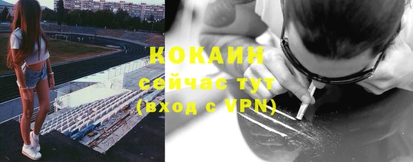 прущие крисы Новодвинск