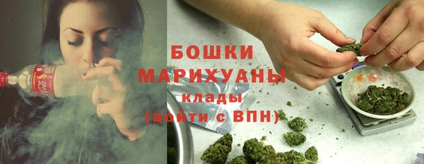 ALPHA-PVP Новозыбков