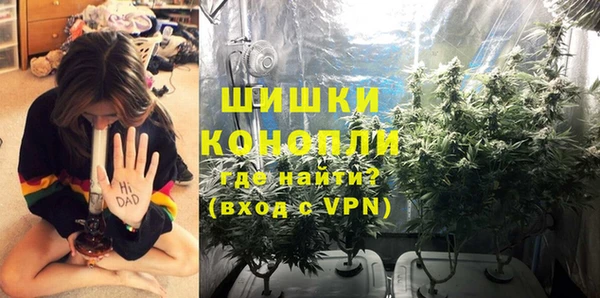 прущие крисы Новодвинск