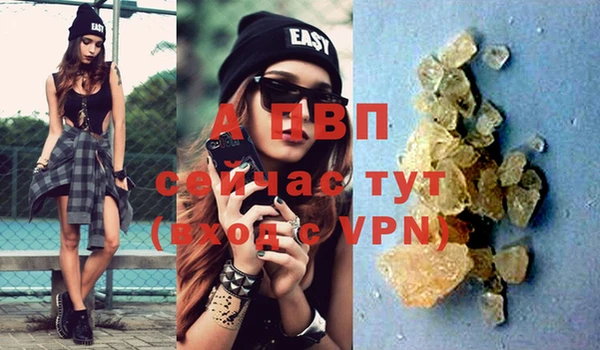 ALPHA-PVP Новозыбков