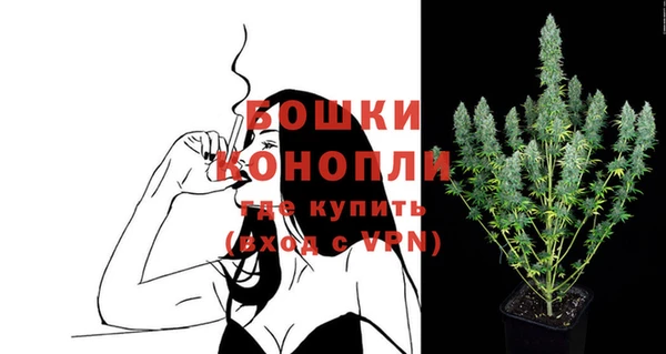 прущие крисы Новодвинск