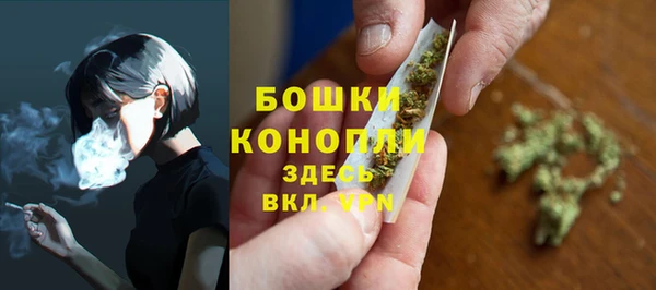 ALPHA-PVP Новозыбков