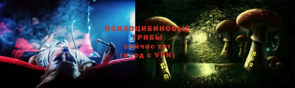 прущие крисы Новодвинск