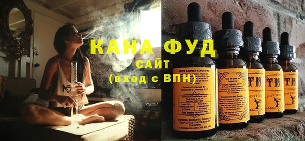 индика Медногорск