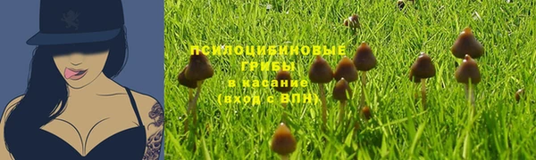 гашишное масло Новокубанск