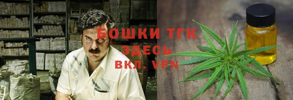 ALPHA-PVP Новозыбков