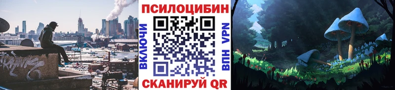 сайты даркнета как зайти  Алагир  Псилоцибиновые грибы Psilocybine cubensis 